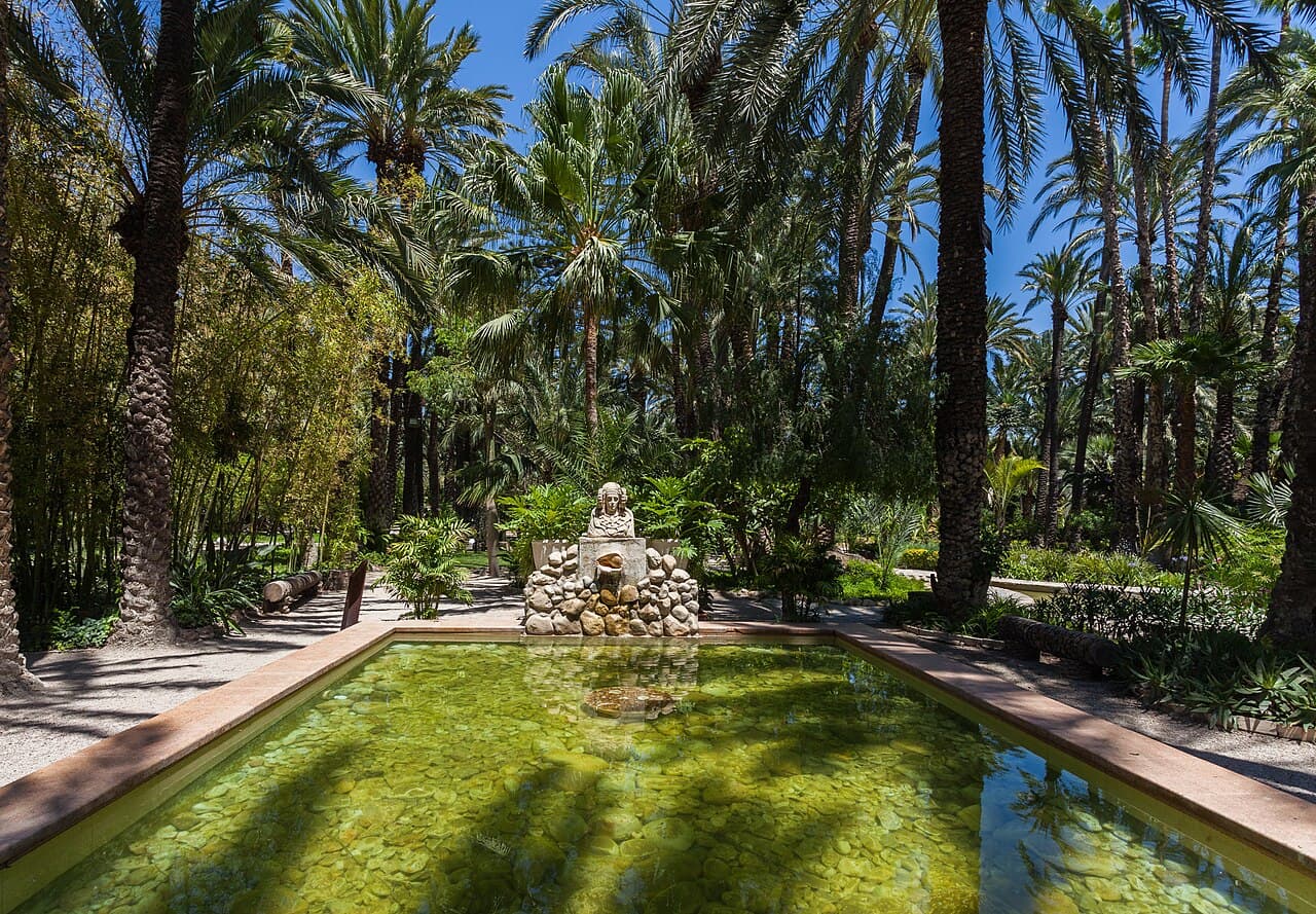 A pond among the palm trees of the Huerto del Cura garden in Elche