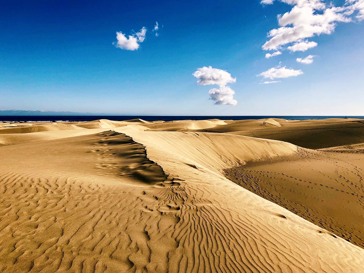 Wind-rippled sand ridges in the Maspalomas Dunes, with the sea on the horizon