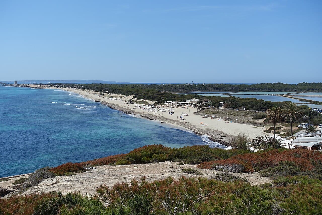 The long pale sweep of Es Cavallet beach in the Salines park