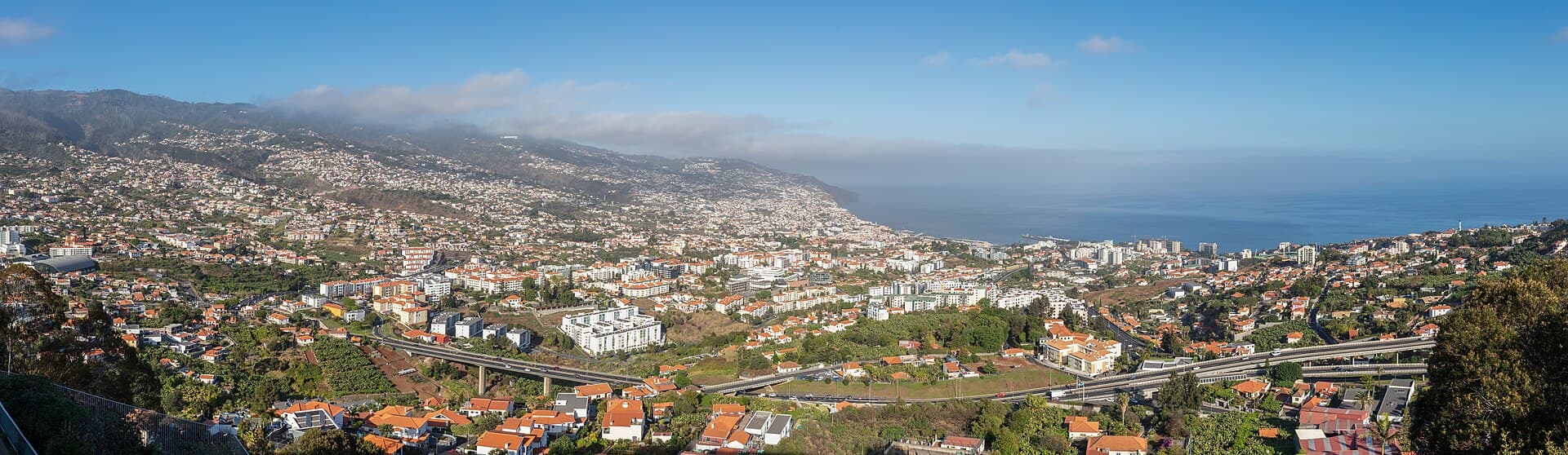 Funchal spread around its bay, seen from Pico dos Barcelos