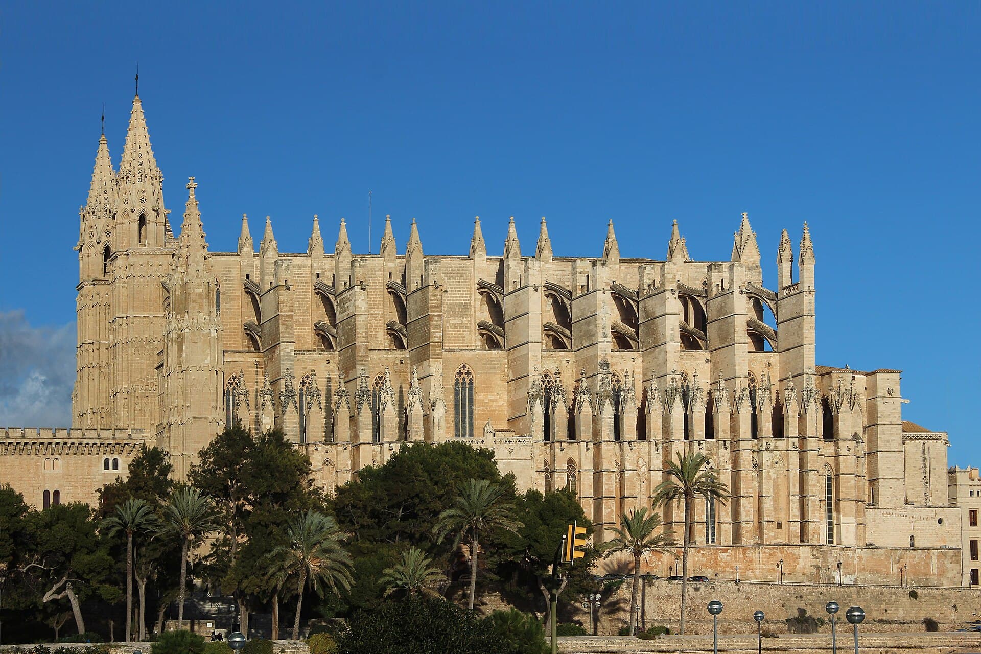 Palma Cathedral seen from the west, rising above palm trees under a clear sky
