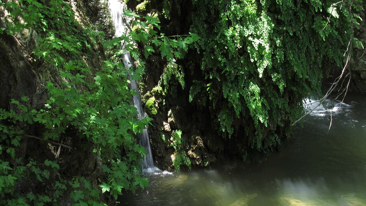 A small waterfall among ferns in the Petaloudes Valley