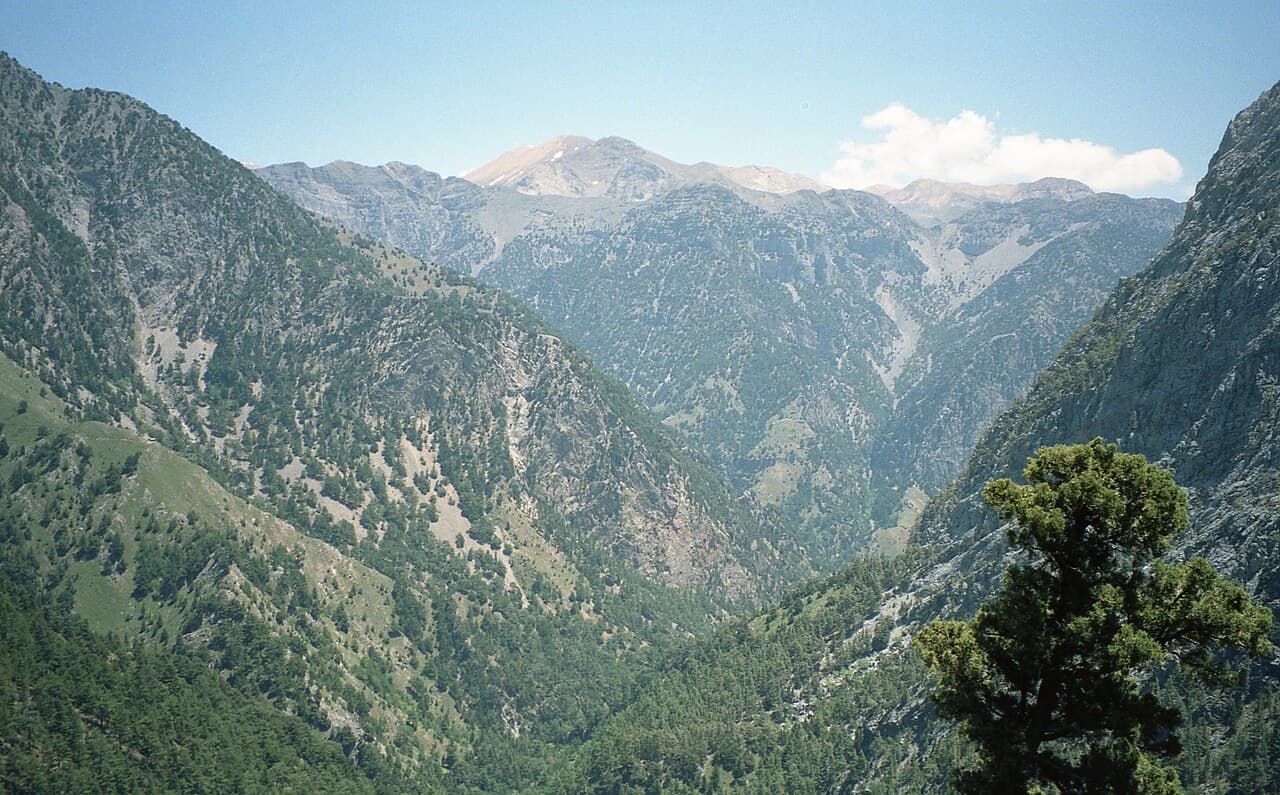 The wooded valley of the Samaria Gorge beneath bare mountain peaks